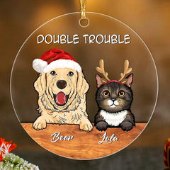 Custom Double Trouble Pet Family Ornament