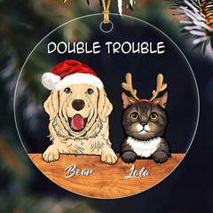 Custom Double Trouble Pet Family Ornament