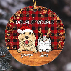 Custom Double Trouble Pet Family Ornament